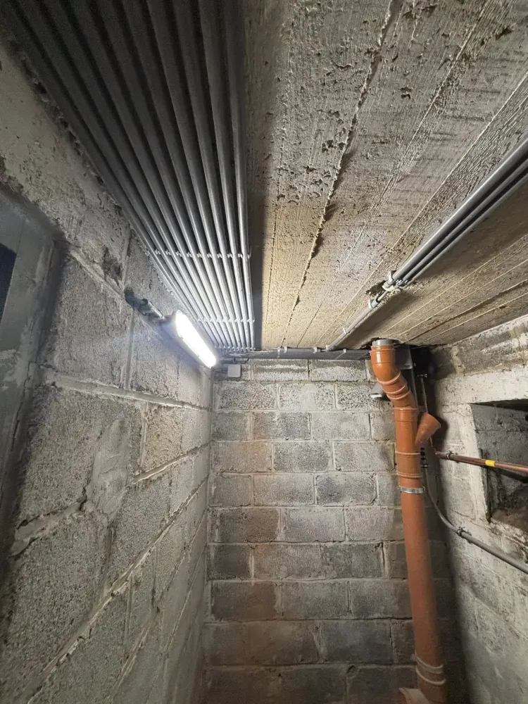 artisan-electricien-wallonie